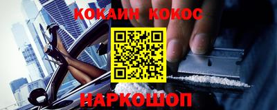 стаф Можга