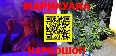 стаф Можга