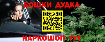 стаф Можга