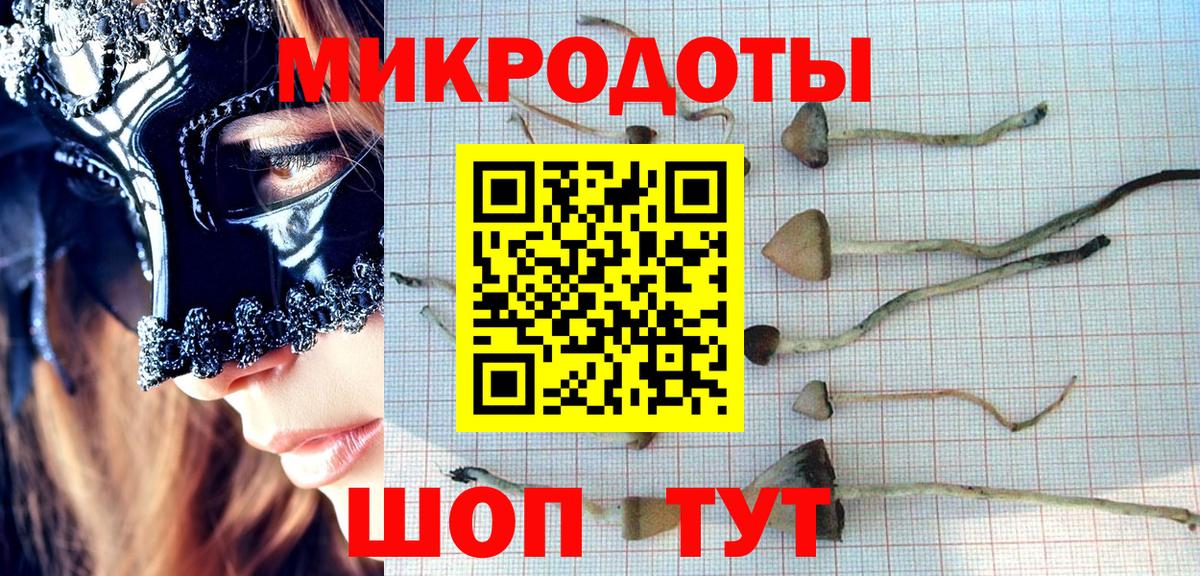 Псилоцибиновые грибы ЛСД  Вход с VPN  Галлюциногенные грибы мухоморы  Усолье-Сибирское 