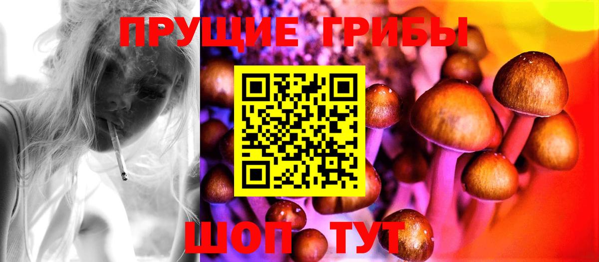Галлюциногенные грибы мухоморы Усолье-Сибирское